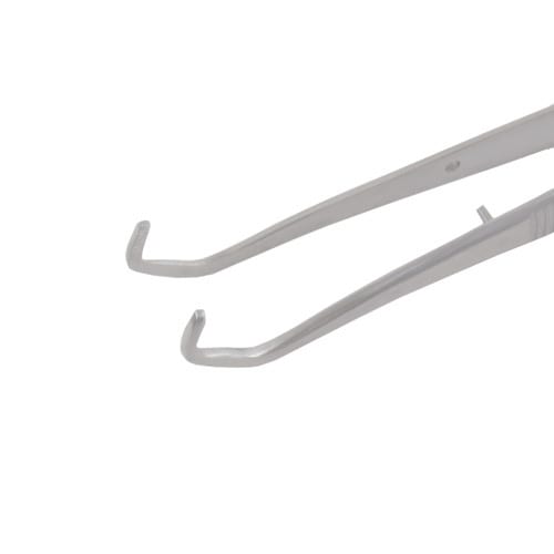 College tooth forceps