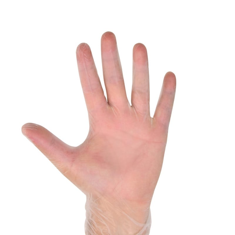 Teqler Vinyl Examination Gloves, Powder-free L