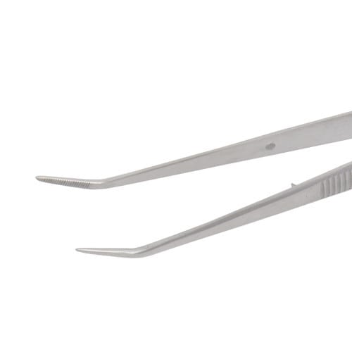 Landgraf Forceps