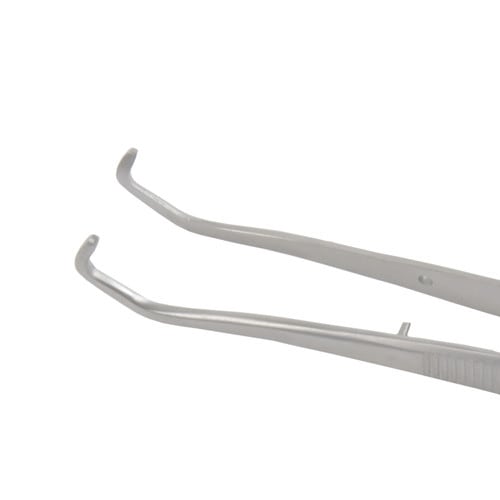 College tooth forceps
