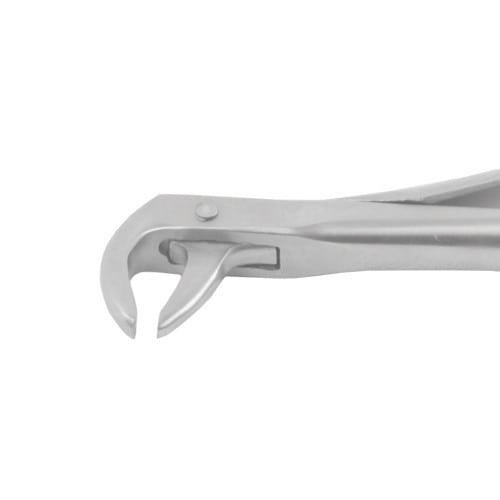 Extraction Forceps Figure 75
